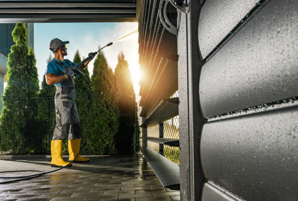 Best Roof Cleaning and Mildew Removal in Buena Park, CA